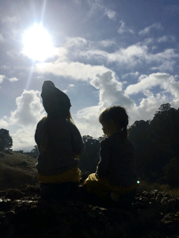 imagesrec_20190111_131646